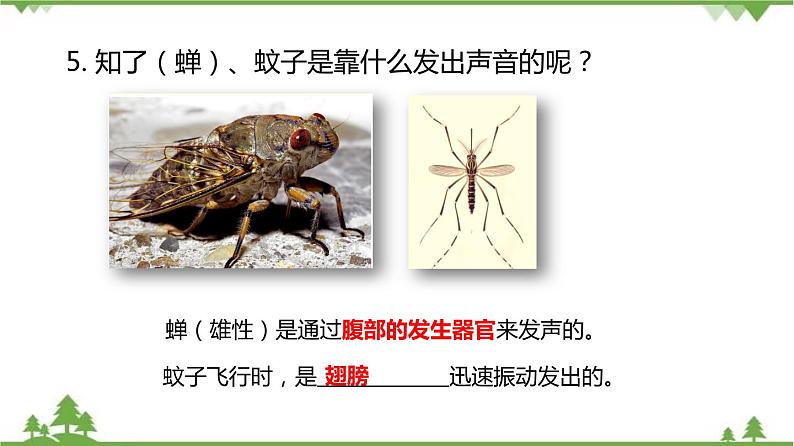 专题1.1 声波的产生和传播（课件与素材）08