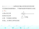 苏科版初中九年级物理第一学期期中素养综合测试课件