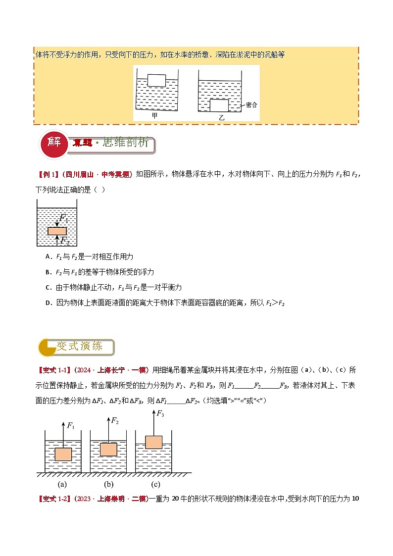 专题06 浮力的简单计算（原卷版）2024年中考物理答题技巧与模板构建第2页