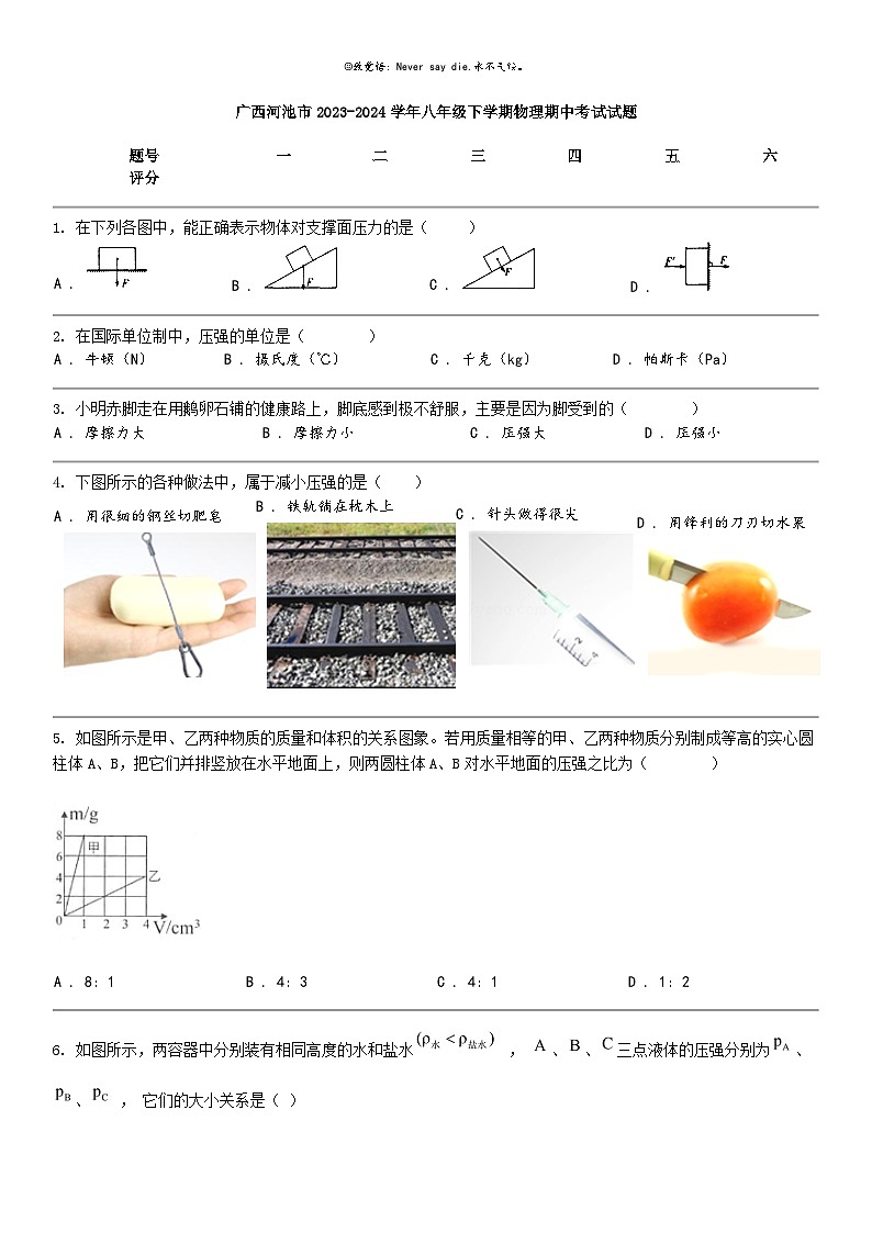 [物理]广西河池市2023-2024学年八年级下学期物理期中考试试题01