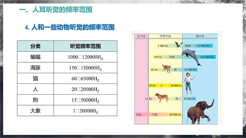 【苏科版】八上物理  1.4 人耳听不到的声音（课件+练习+内嵌视频）07