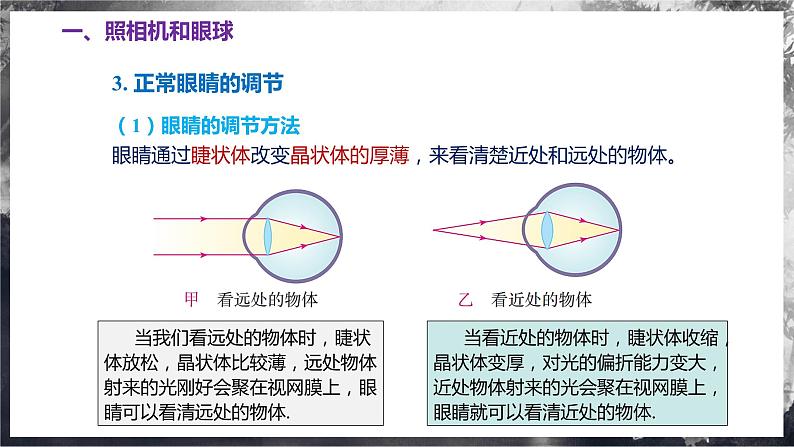 【苏科版】八上物理  3.4 透镜的应用（课件+练习+内嵌视频）07