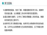 1.1 走进实验室 课件- 2024-2025学年教科版物理八年级上册