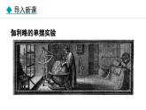 1.1 走进实验室 课件- 2024-2025学年教科版物理八年级上册
