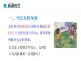 4.2 光的反射定律 課件- 2024-2025學(xué)年教科版物理八年級(jí)上冊(cè)