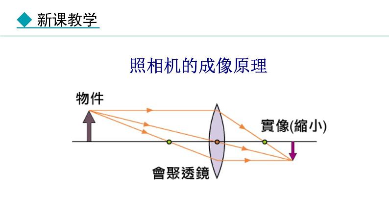 4.6 跨学科实践：眼睛 课件- 2024-2025学年教科版物理八年级上册第5页