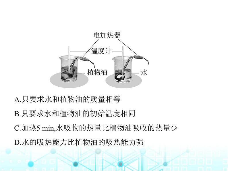 北师大版初中九年级物理第一学期期末素养综合测试课件08