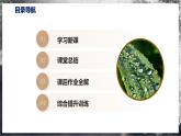 【沪科版】九年级物理  12.3 汽化与液化（课件+练习+内嵌视频）