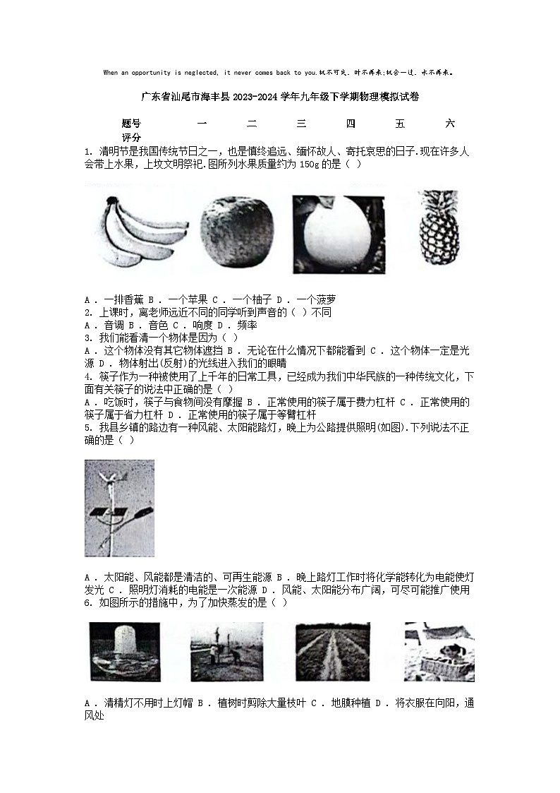 [物理]广东省汕尾市海丰县2023-2024学年九年级下学期物理模拟试卷第1页