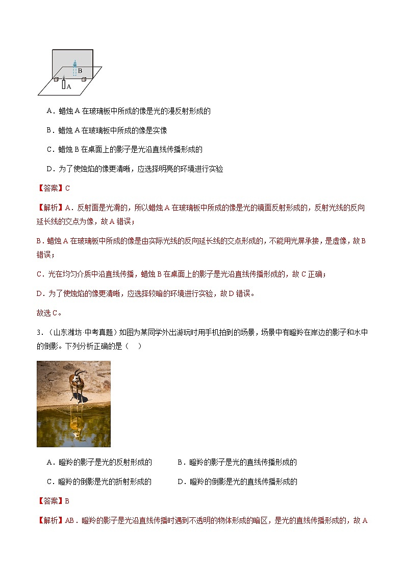 第11讲 章末复习 素养进阶（教师版）（预习）2025学年八年级物理上册暑假提升讲义（苏科版）第3页