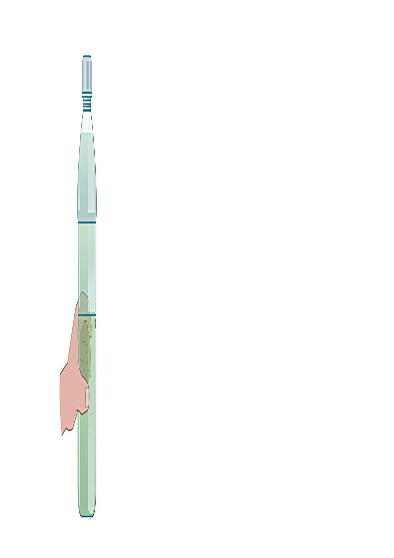 [物理][二模]贵州省黔东南苗族侗族自治州从江县贯洞名校2024年中考物理二模试题第2页