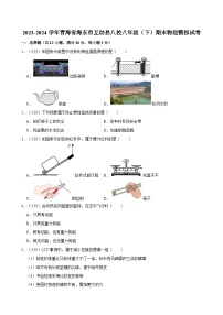 青海省海东市互助县八校2023-2024学年八年级下期末物理模拟试卷