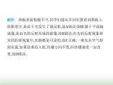 鲁科版八年级物理上册第3章光现象第4节光的折射与透镜第1课时光的折射课件