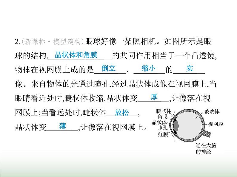 鲁科版八年级物理上册第3章光现象跨学科实践眼睛与眼镜课件第4页