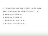 鲁科版八年级物理上册专项素养综合练(六)探究凸透镜动态成像问题课件