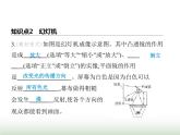 鲁科版八年级物理上册第3章光现象第5节凸透镜成像的规律第2课时生活中的透镜课件