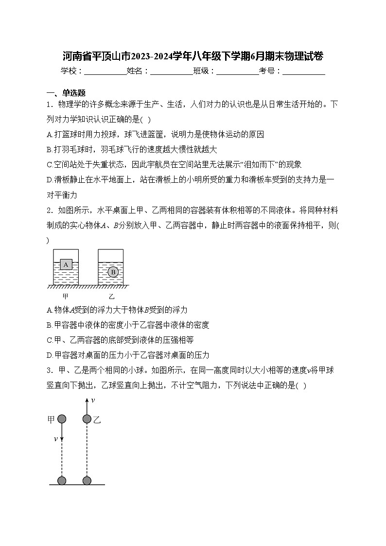 河南省平顶山市2023-2024学年八年级下学期6月期末物理试卷(含答案)第1页