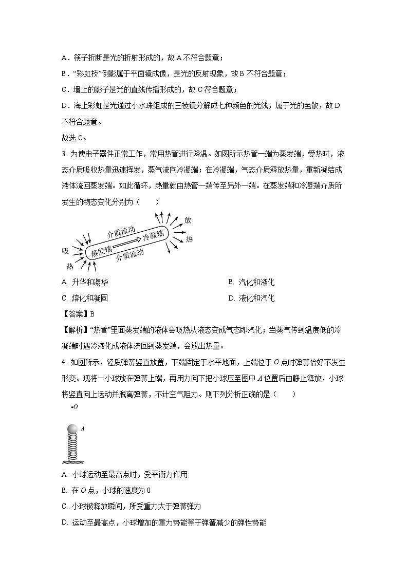 [物理]湖北省宜昌市远安县2023-2024学年九年级下学期4月调考试题(解析版)02