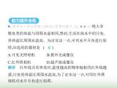 苏科版初中八年级物理上册第3章光的折射透镜五人眼看不见的光课件