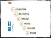 【人教版】八上物理 5.1 透镜（课件+教案+导学案+同步练习+内嵌视频）