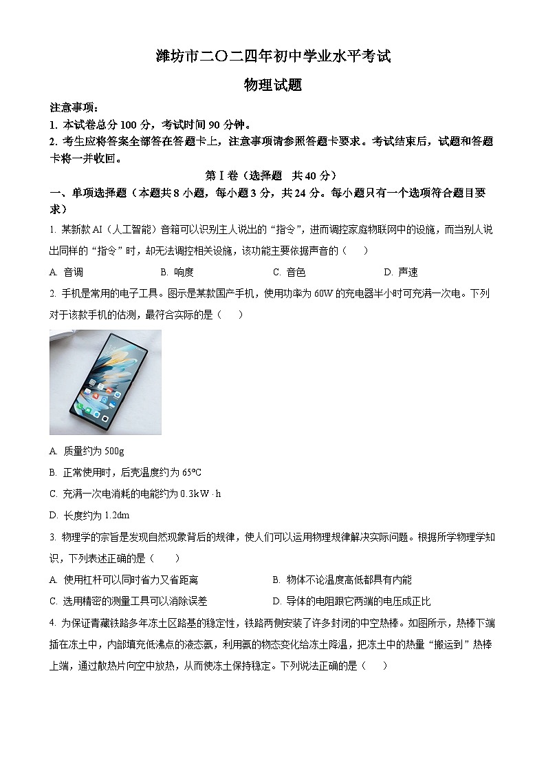 2024年山东省潍坊市中考真题物理试题（原卷版+解析版）01