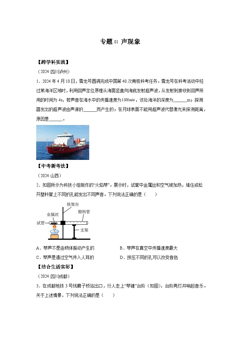 2024年中考物理真题分类汇编（全国通用）专题01声现象第1页