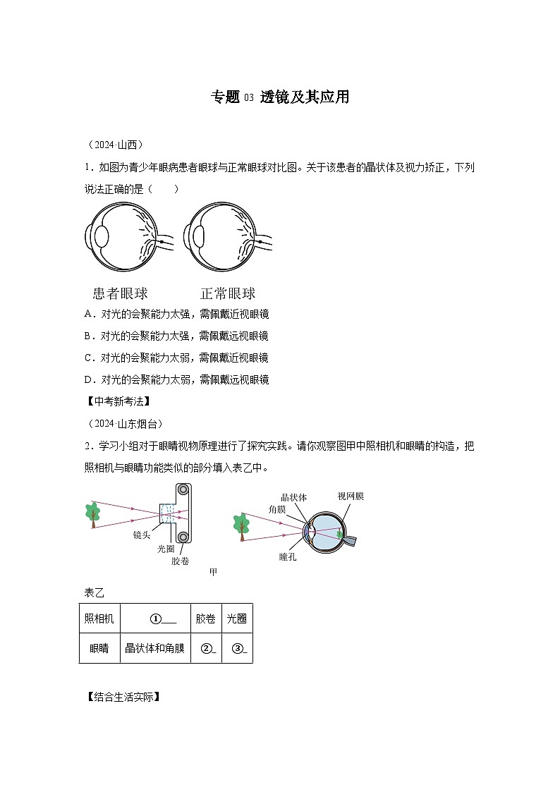 2024年中考物理真题分类汇编（全国通用）专题03透镜及其应用01