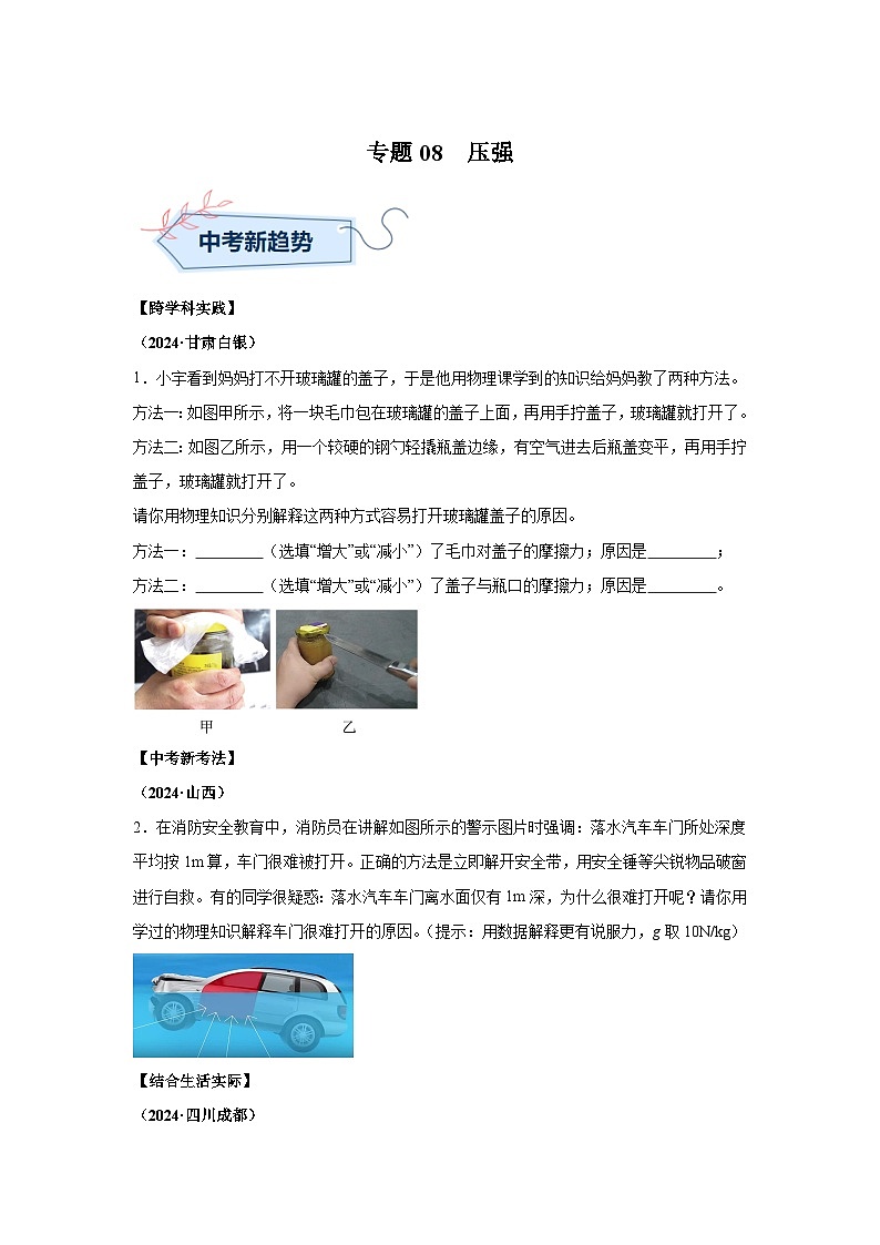2024年中考物理真题分类汇编（全国通用）专题08压强01