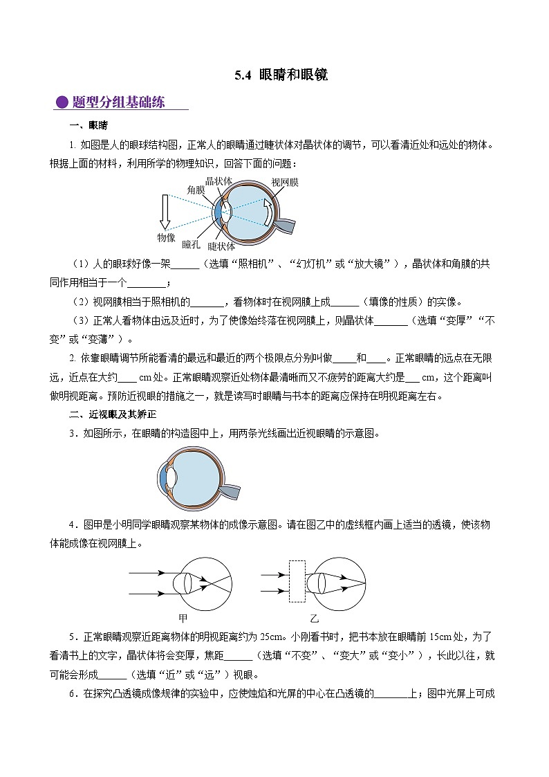 【人教版】八上物理 5.4 眼睛和眼镜（课件+教案+导学案+同步练习+内嵌视频）01