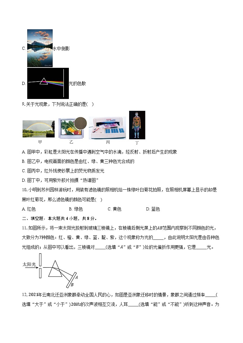 4.5光的色散 人教版初中物理八年级上册同步练习（含详细答案解析）第3页