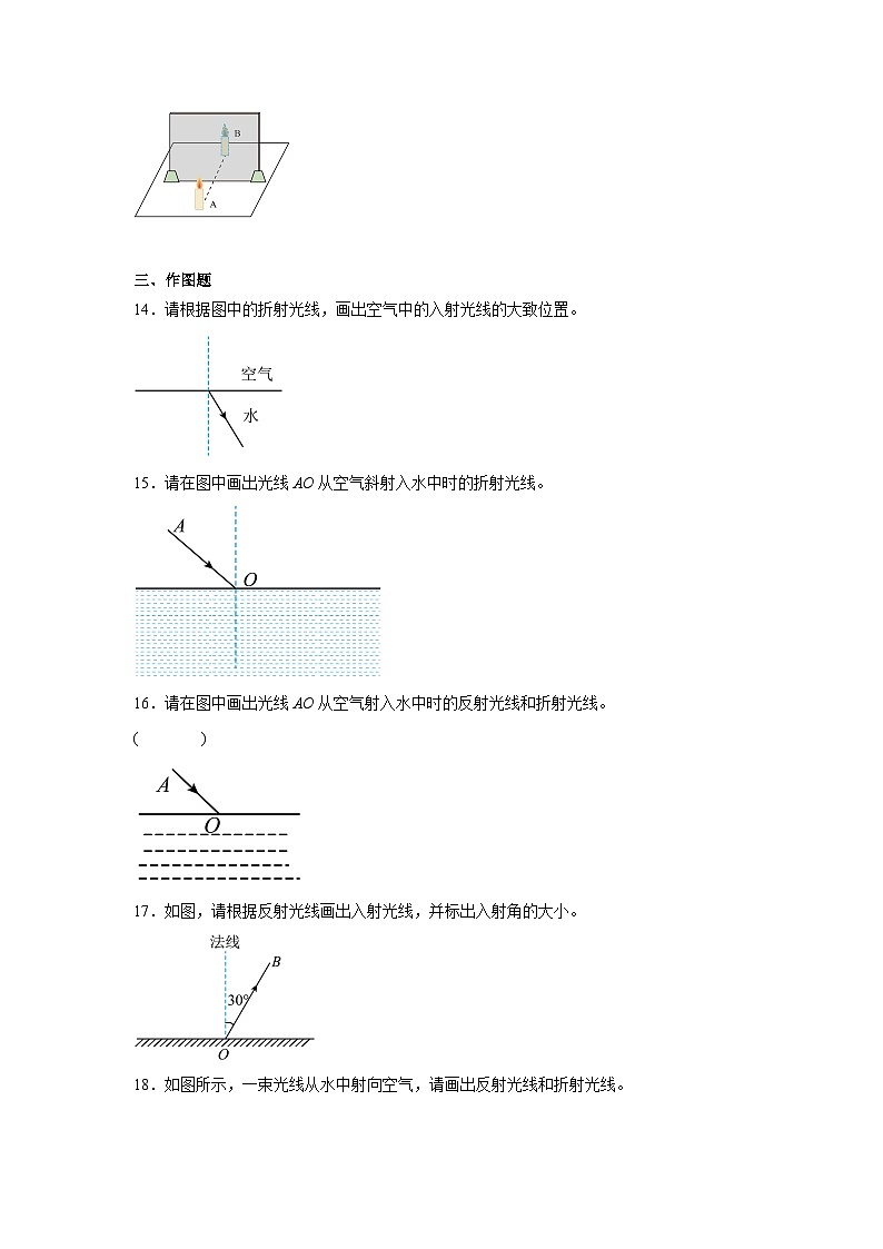 初中物理二轮复习专题09光现象含解析答案第3页