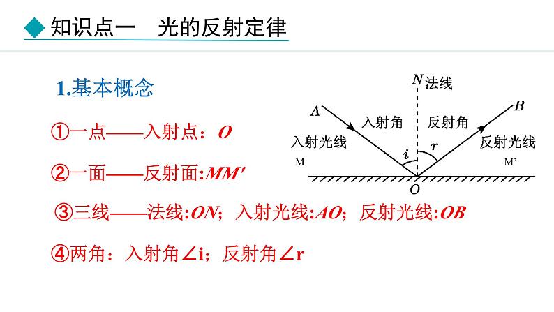 人教版（2024）八年级物理上册课件 4.2  光的反射04