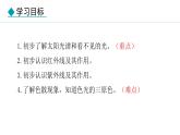 人教版（2024）八年级物理上册课件 4.5  光的色散