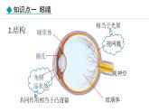 人教版（2024）八年级物理上册课件 5.4  眼睛和眼镜