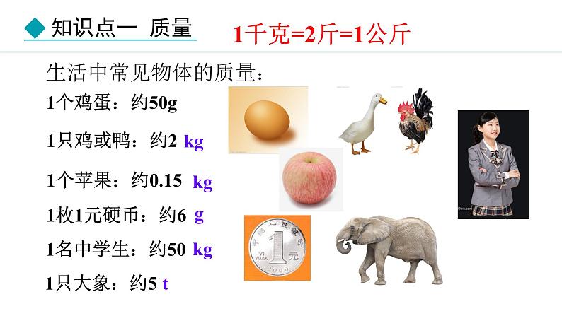 人教版（2024）八年级物理上册课件 6.1  质量08