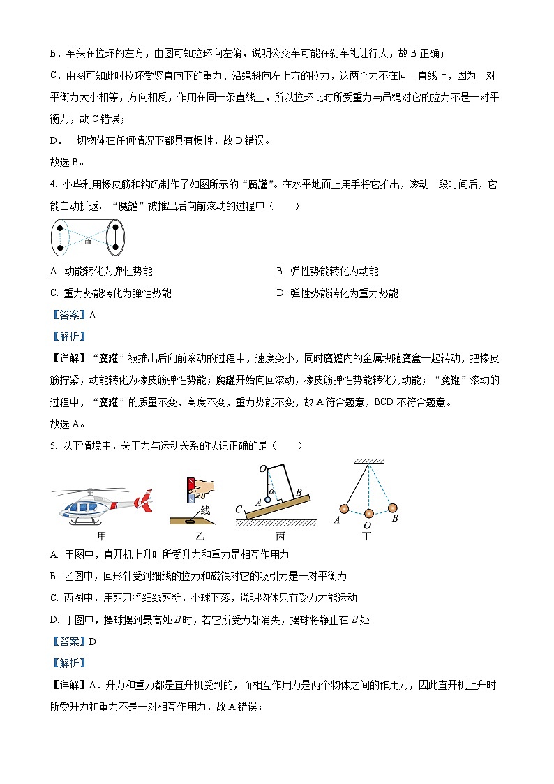 2024年江苏省徐州市沛县中考四模物理试题（解析版）第2页