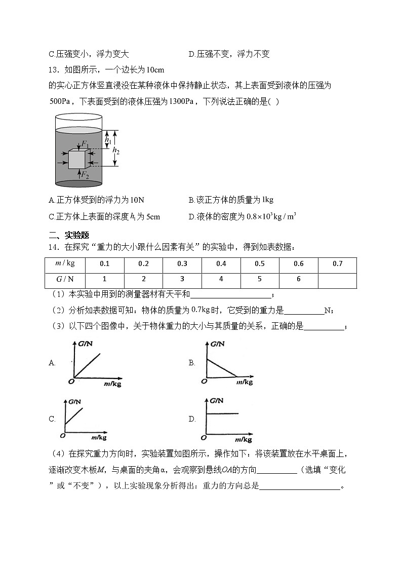 广西河池市宜州区2023-2024学年八年级下学期期末考试物理试卷(含答案)第3页