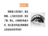4.3 神奇的“眼睛” 第1课时 课件- 2024-2025学年物理沪科版八年级全一册