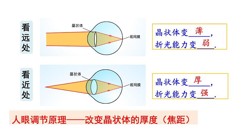 4.3 神奇的“眼睛” 第1课时 课件- 2024-2025学年物理沪科版八年级全一册08