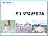实践 探究森林火情缘由 课件- 2024-2025学年物理沪科版八年级全一册