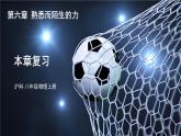 第6章 熟悉而陌生的力 本章复习 课件- 2024-2025学年物理沪科版八年级全一册