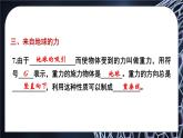 第6章 熟悉而陌生的力 本章复习 课件- 2024-2025学年物理沪科版八年级全一册
