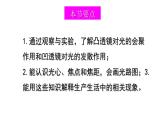4.1 凸透镜与凹透镜 课件- 2024-2025学年物理沪科版八年级全一册