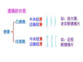 4.1 凸透镜与凹透镜 课件- 2024-2025学年物理沪科版八年级全一册