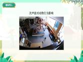 泸科物理八年级上册 第2章  第三节   超声波与次声波 PPT课件