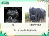 泸科物理八年级上册 第2章  第三节   超声波与次声波 PPT课件