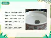泸科物理八年级上册 第3章  第三节 光的折射 PPT课件