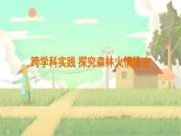 泸科物理八年级上册 第4章  实践 探究森林火情缘由 PPT课件
