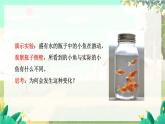 泸科物理八年级上册 第4章  实践 探究森林火情缘由 PPT课件