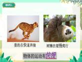 泸科物理八年级上册 第1章  第二节 快与慢 PPT课件